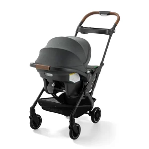 GoMax? Travel System
